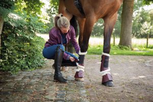 Protection Jambes Cheval