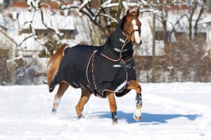 Couverture d'hiver Cheval