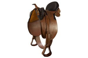 Selles Cheval