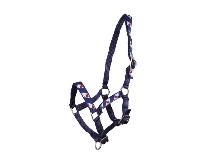 QHP Licol sans doublure Frison main product photo