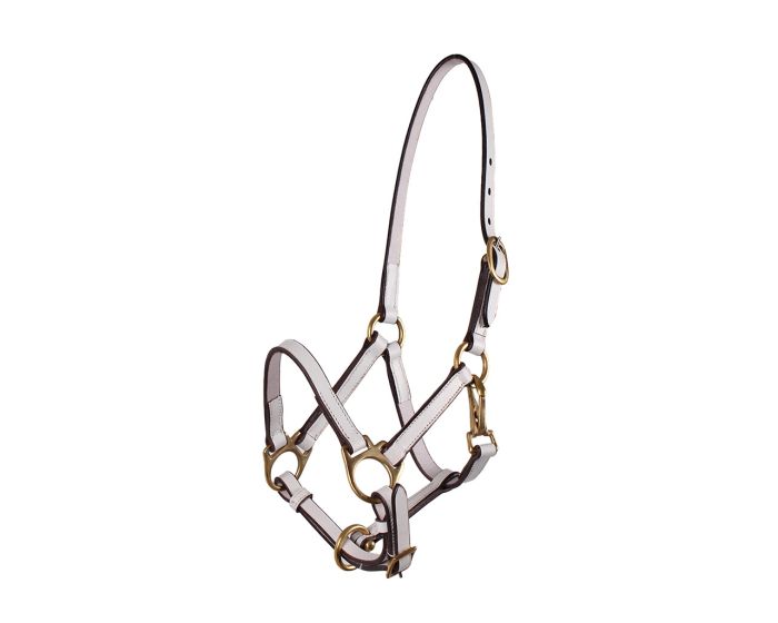 QHP Licol en cuir main product photo