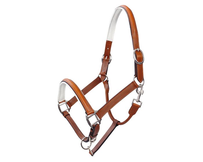 PFIFF Licol en cuir PFIFF main product photo