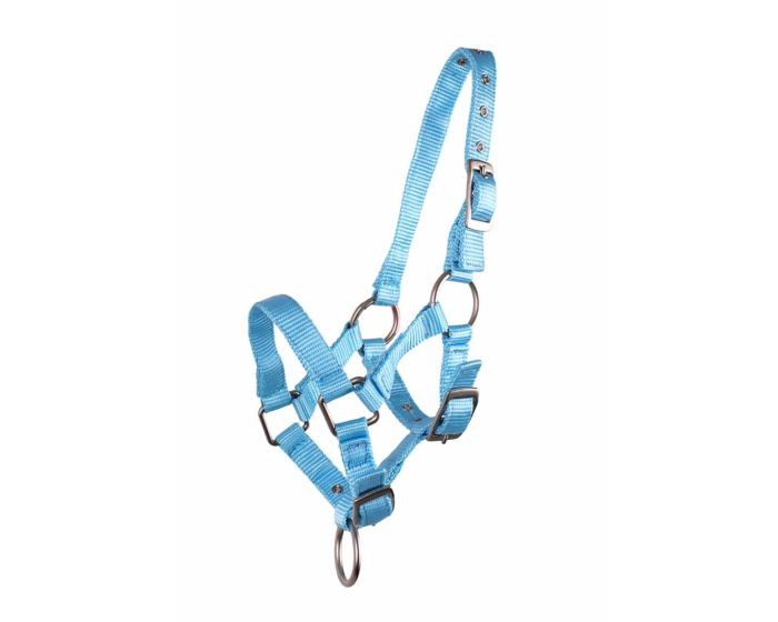 QHP Poulain licol main product photo