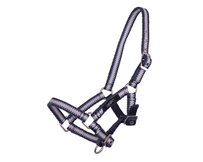 Collection de poulains QHP Halter main product photo