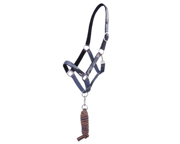 QHP Duo licol et longe avec turnout collection 19 main product photo