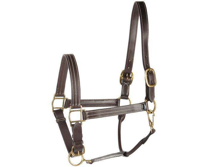 Harry's Horse Licol en cuir Deluxe main product photo