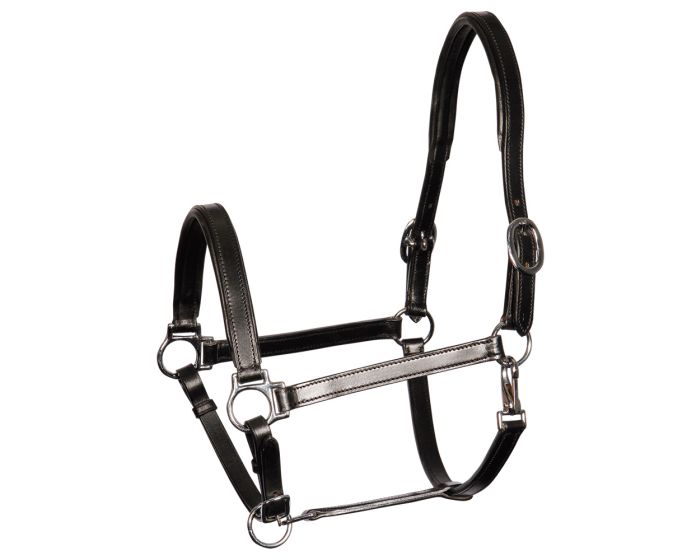 Harry's Horse Licol cuir Finesse main product photo