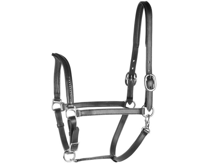 Harry's Horse Licol en cuir Crystal V main product photo