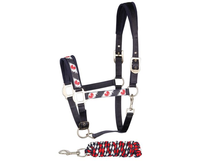 Harry's Horse Ensemble licol et longe Friesian main product photo