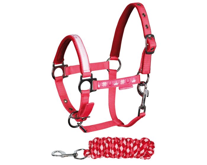 Harry's Horse Licol et longe Diva main product photo