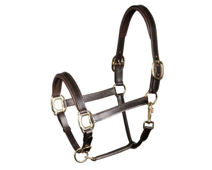 Harry's Horse Licol en cuir, rembourré main product photo