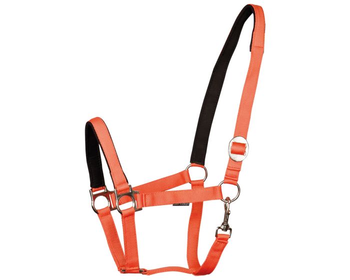 Harry's Horse Licol bridoonded main product photo