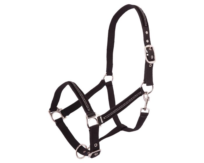Premiere Halter Premiere "Pierre" main product photo