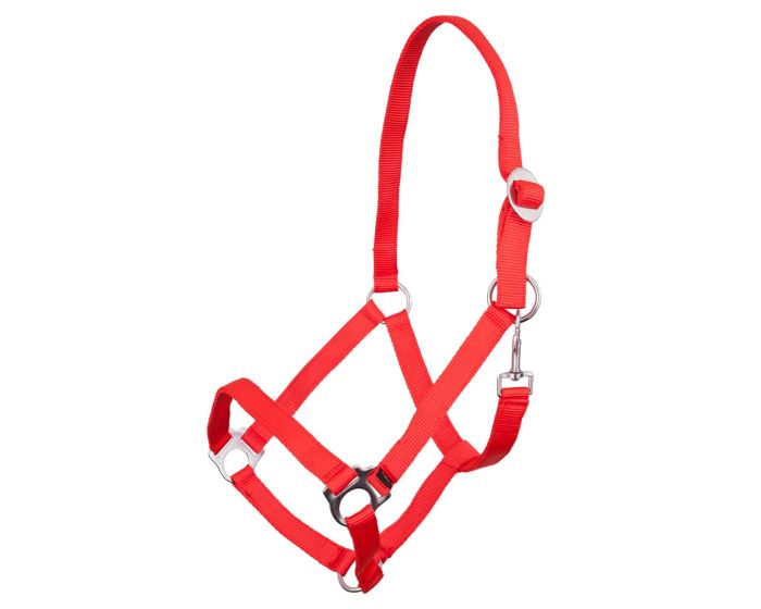 Premiere licol main product photo
