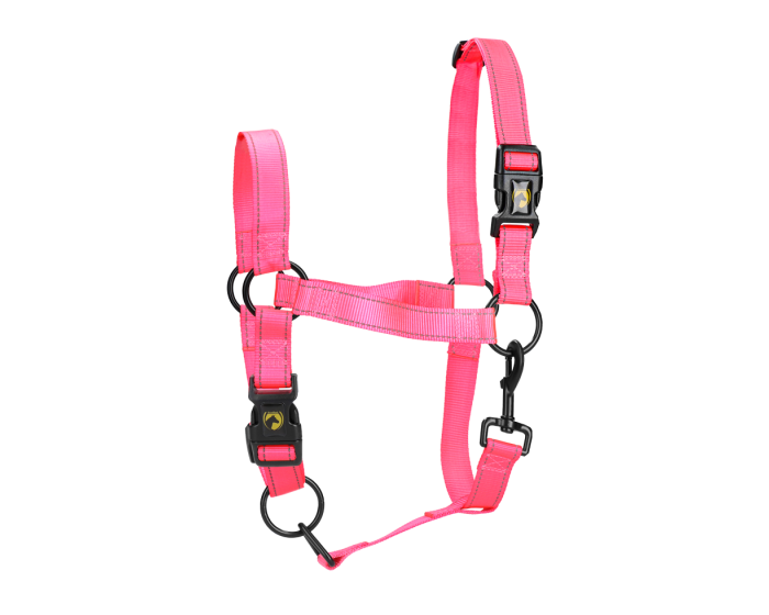 Excellent Licol Premium Cheval main product photo