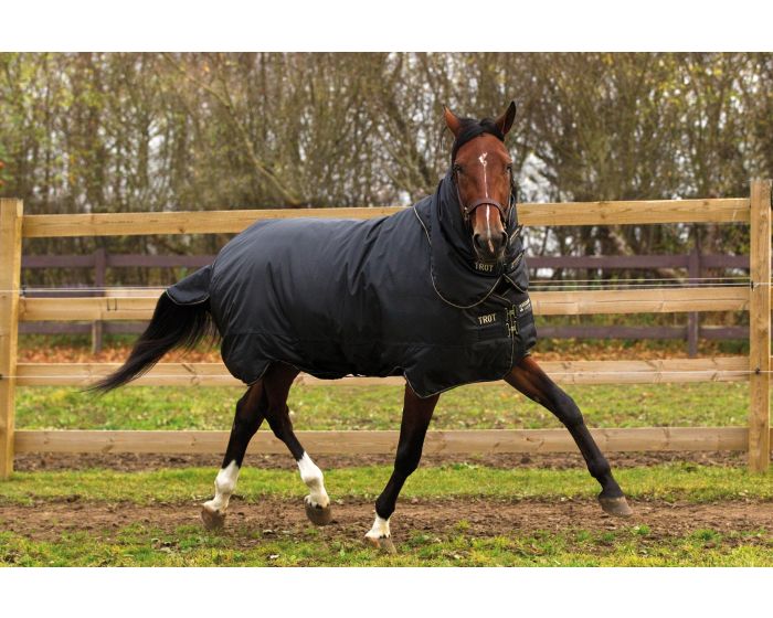 Horseware HW Trot Plus Heavy main product photo