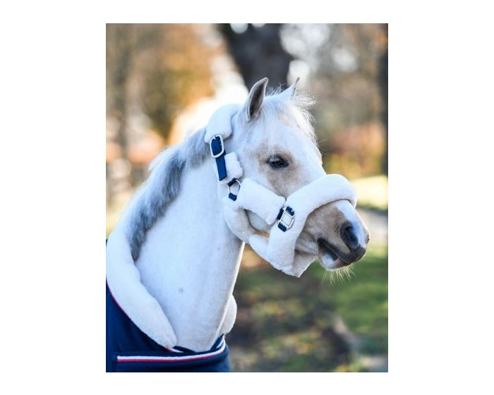 HB Showtime Harry and Hector Licol moelleux petites tailles main product photo