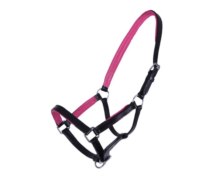 QHP Licol cuir poulain Spirit main product photo