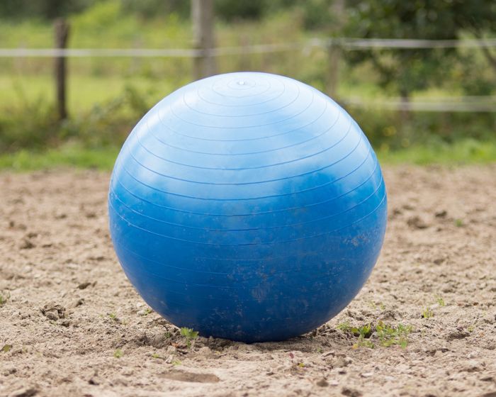 QHP Football de Cheval main product photo