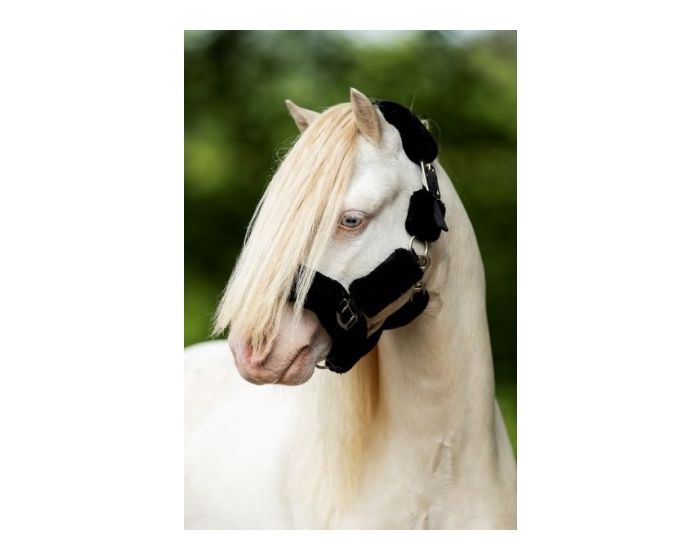 HB Licol duveteux Showtime petites tailles main product photo