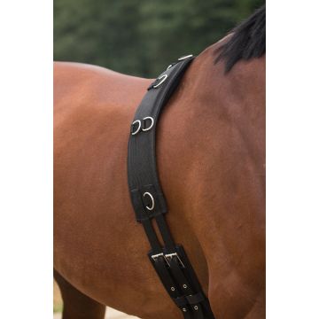 horka SANGLE DE LONGE AVEC COUSSINS DE GARROT