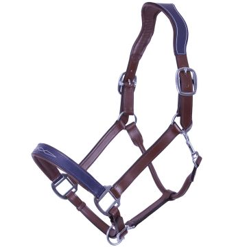 QHP Halter Shiva