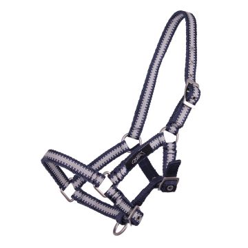 Collection de poulains QHP Halter