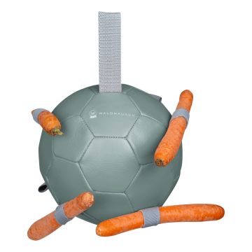 Waldhausen Boule de carottes