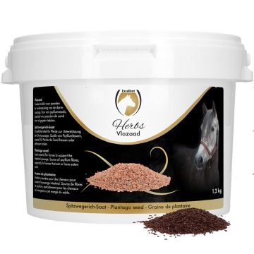 Excellent Graines de puces aux herbes (graines de psyllium)