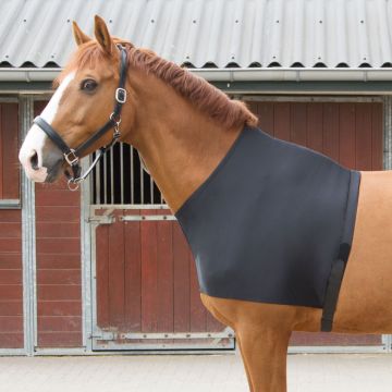 Harry's Horse Protecteur de poitrine lycra