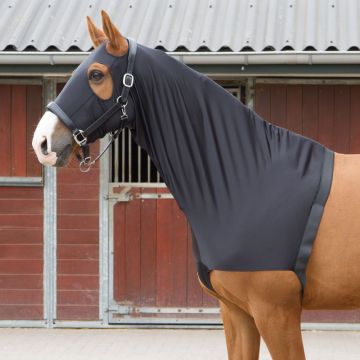 Harry's Horse Protège poitrine / capuche lycra XL Noir