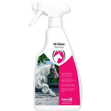 Excellent Spray Nettoyant Hi Gloss