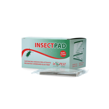 Knock Off Tampon adhésif pour la surveillance des insectes