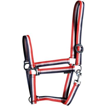 Harry's Horse Licol Économie Shetland Rouge / Blanc / Bleu
