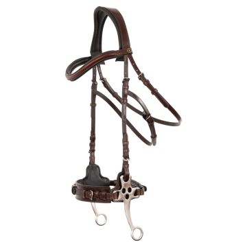 BR Cisaille hackamore Bridle Lydney 152mm Full Oak / Zilver