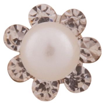 BR Pin's club BR Clover set/5 pièces argent 