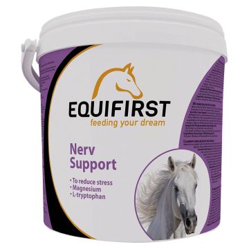 Equifirst Soutien nerveux