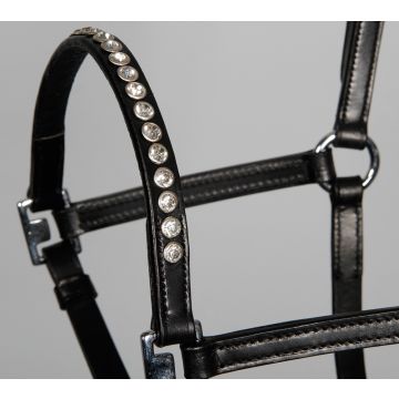 Harry's Horse Licol poney/poulain cuir cristal One Size Noir
