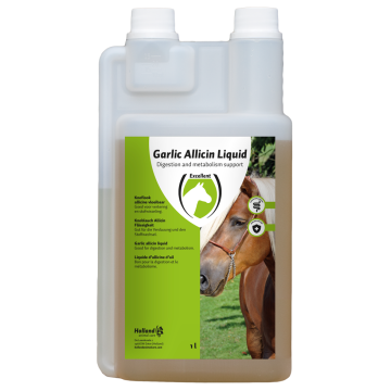 Excellent Ail Allicin Liquid EU (Ail liquide)