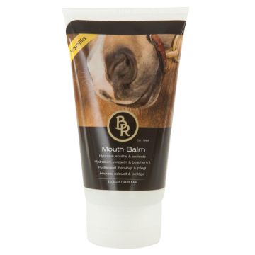 BR Baume Bouche Vanille