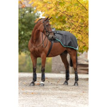 Chemise de compétition Horseware Amigo