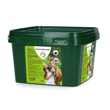 Excellent Poudre d'électrolytes pour chevaux avec seau B2