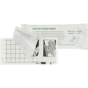 Knock Off Geo Glue Board Food Moth (Ephestia/Plodia)