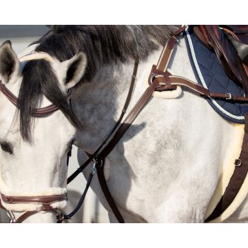 QHP Collier de poitrine Ontario