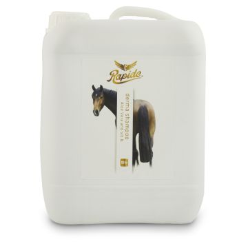 Rapide Derma Shampoo