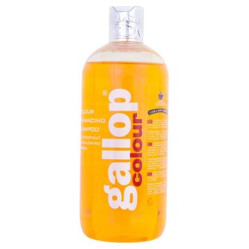 CDM Shampooing Gallop Couleur Châtaigne