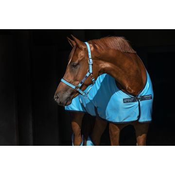 Horseware Products LTD Licol Amigo