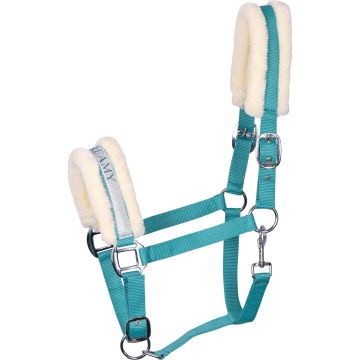 Harry's Horse Halter Paroles VII
