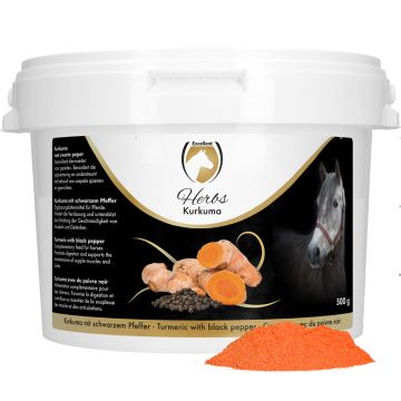 Excellent Herbes Curcuma