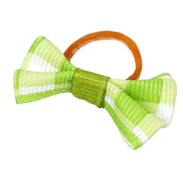 Showbows QHP